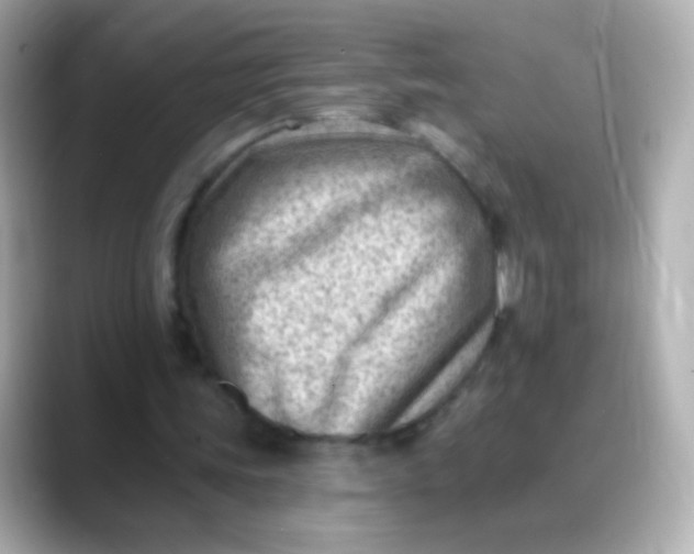 X0000088450339200706051310