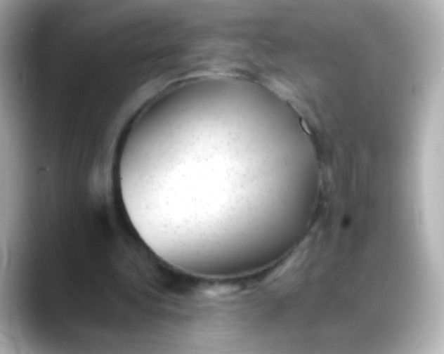 X0000088450340200706051310