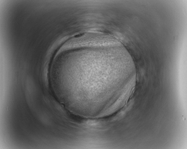 X0000088450341200706051310