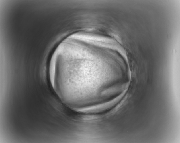 X0000088450342200706051310