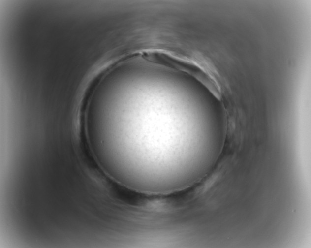 X0000088450344200706051310