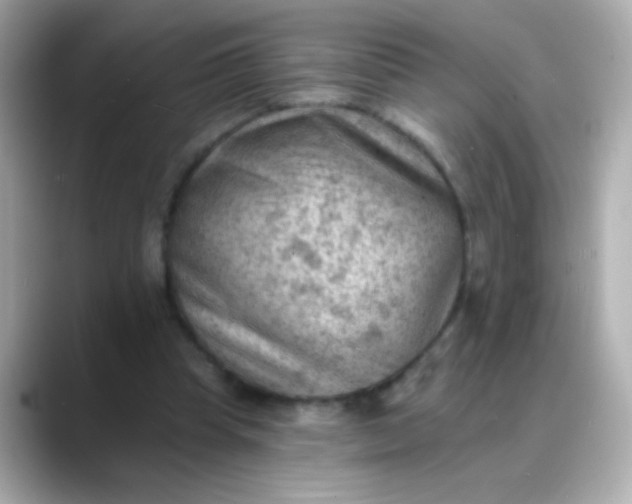 X0000088450345200706051310