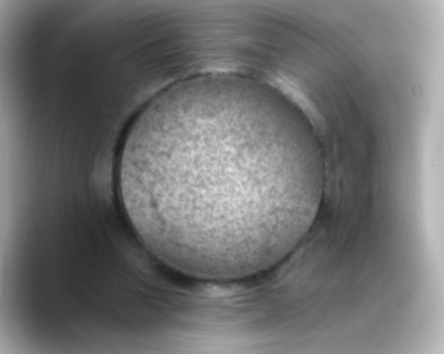 X0000088450346200706051310