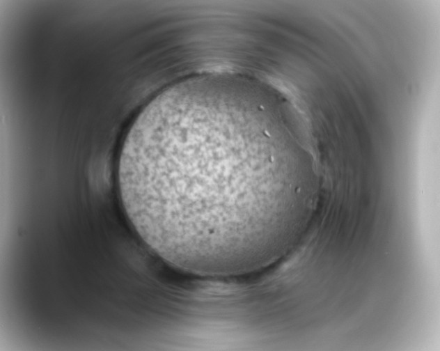X0000088450347200706051310