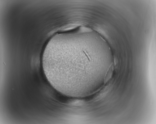 X0000088450348200706051310