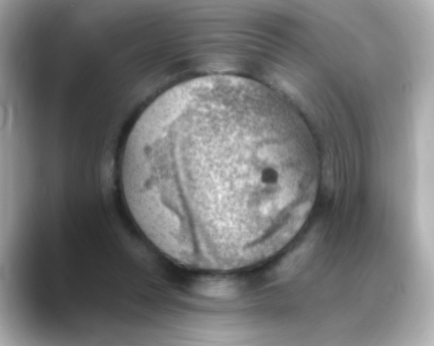 X0000088450351200706051310