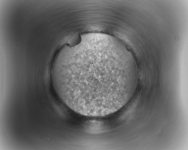 X0000088450352200706051310