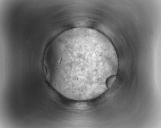 X0000088450353200706051310