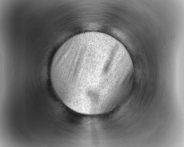 X0000088450354200706051310