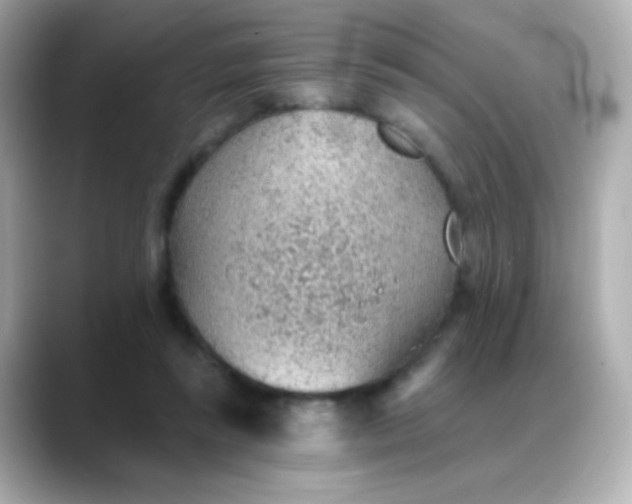 X0000088450355200706051310
