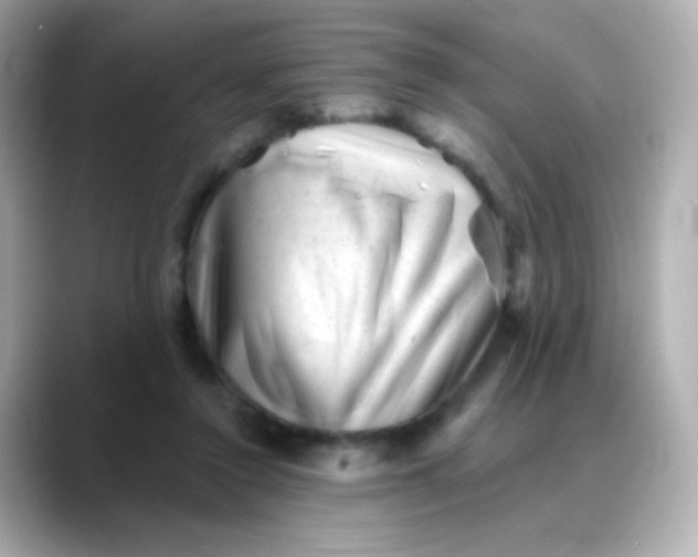 X0000088450356200706051310