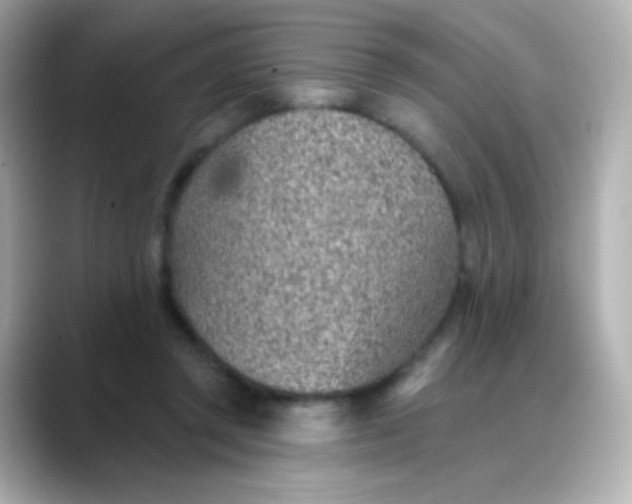 X0000088450357200706051310