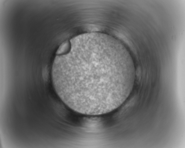 X0000088450359200706051310