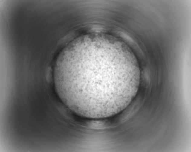 X0000088450361200706051310