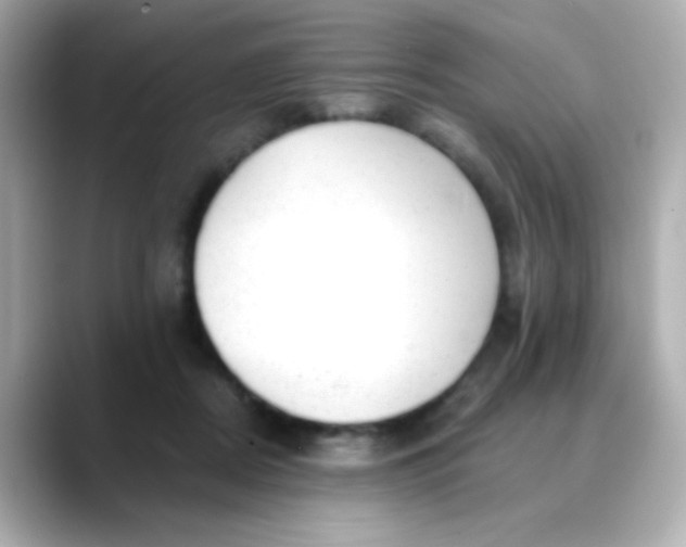 X0000088450362200706051310