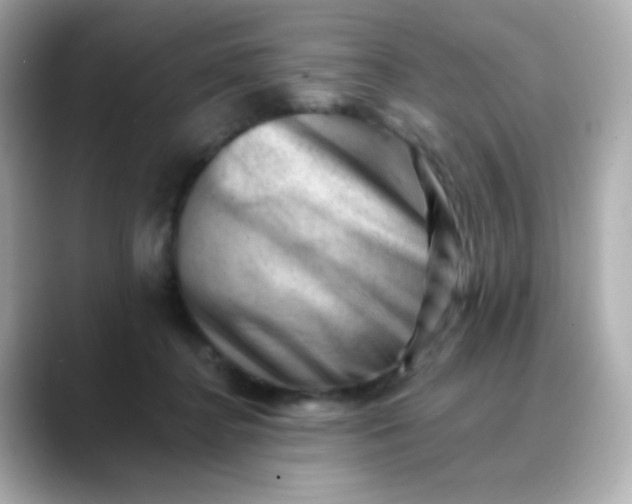 X0000088450364200706051310
