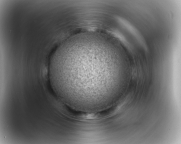 X0000088450365200706051310