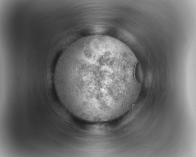 X0000088450366200706051310
