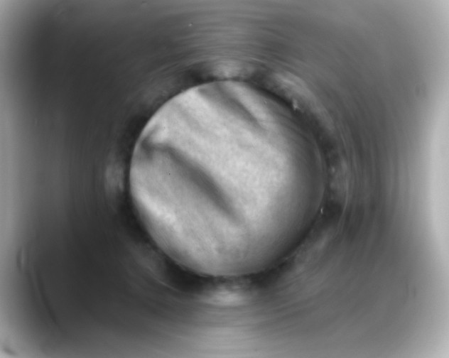 X0000088450368200706051310