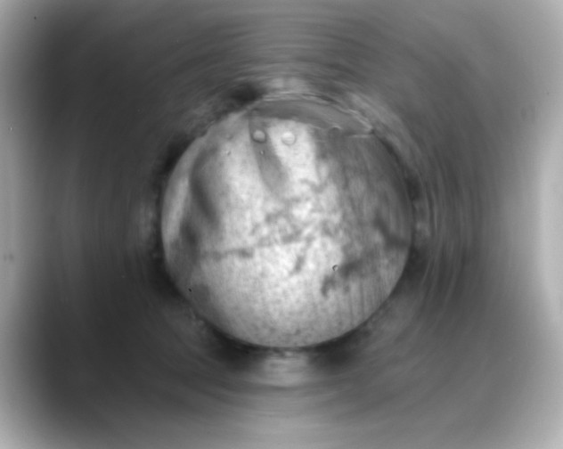 X0000088450369200706051310