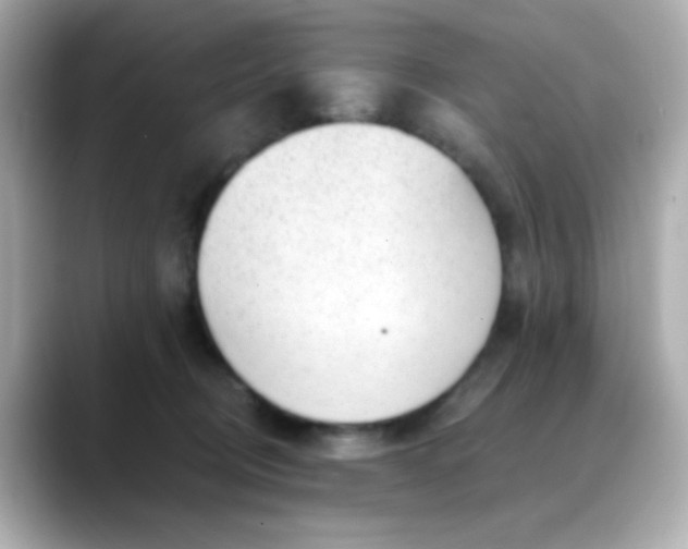 X0000088450370200706051310