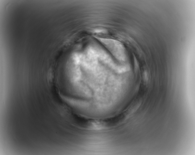 X0000088450372200706051310