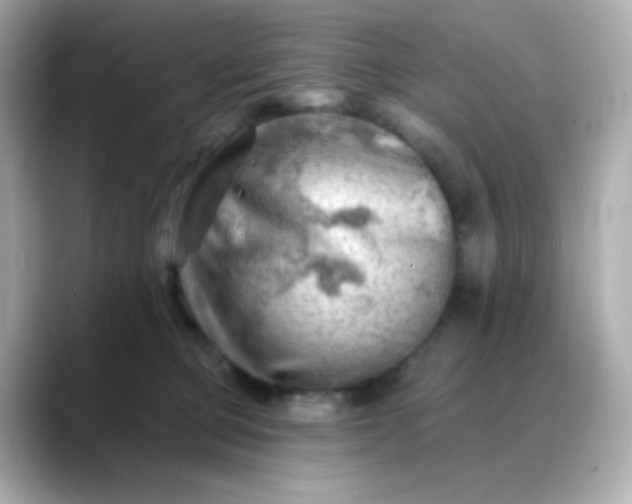 X0000088450373200706051310