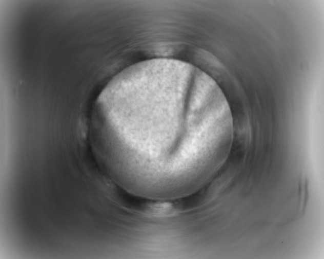 X0000088450374200706051310
