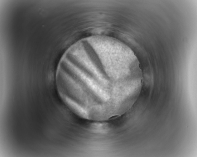X0000088450375200706051310