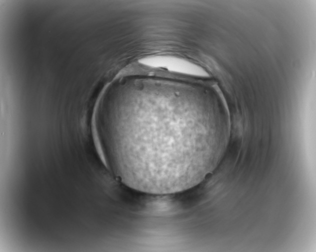 X0000088450377200706051310