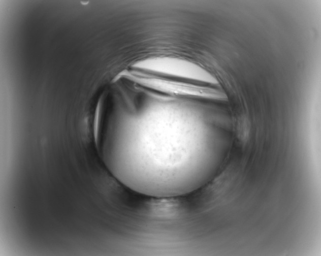 X0000088450378200706051310
