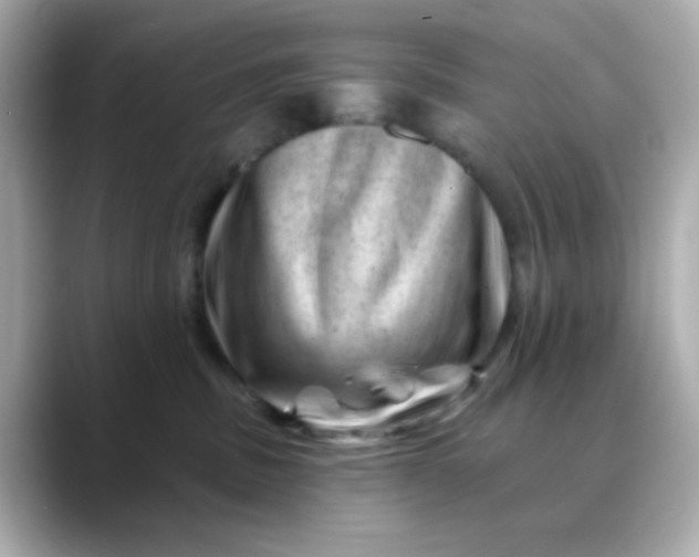 X0000088450379200706051310