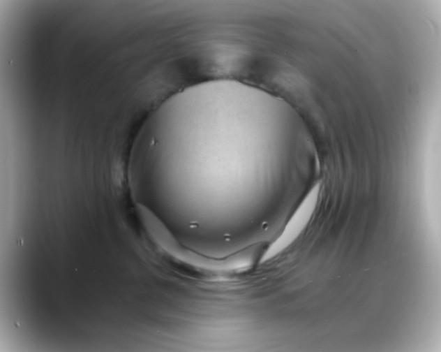X0000088450380200706051310