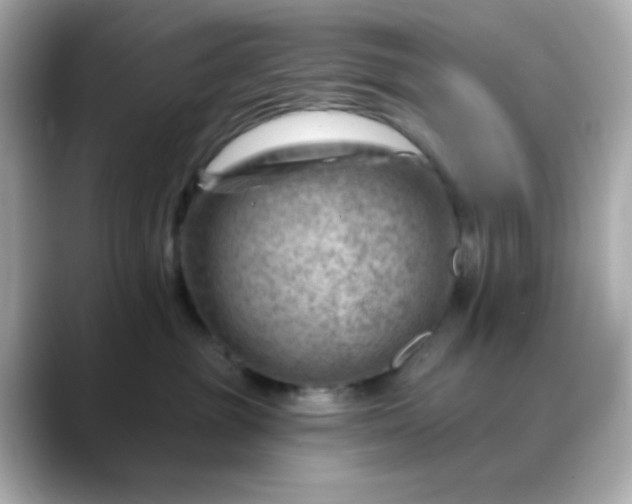X0000088450381200706051311