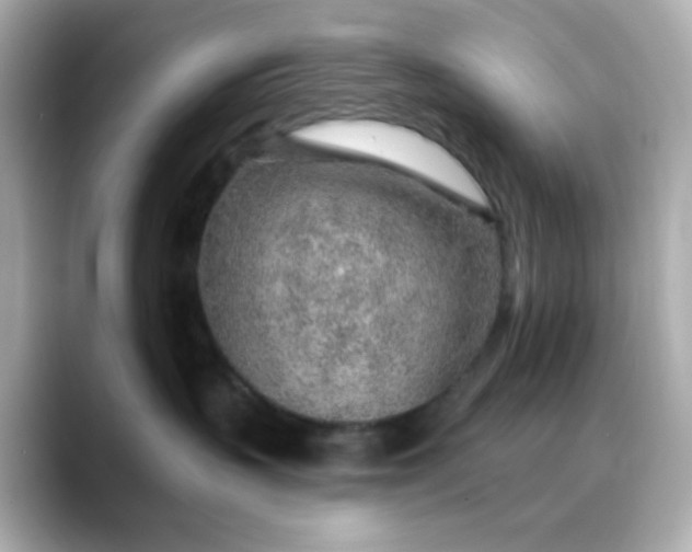 X0000088450383200706051311