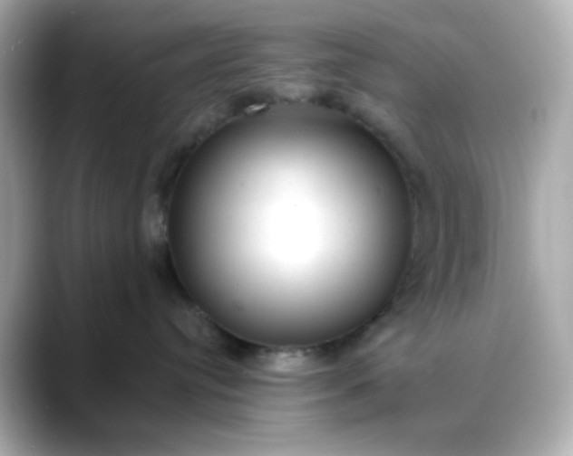 X0000088450384200706051311