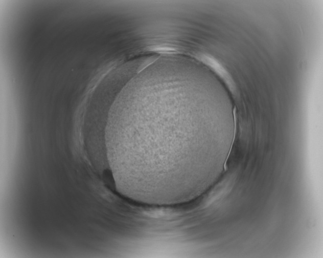 X0000088450385200706051310