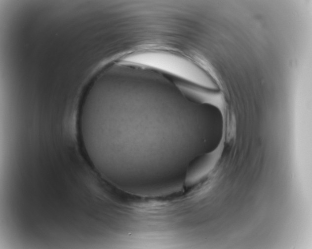 X0000088450387200706051310