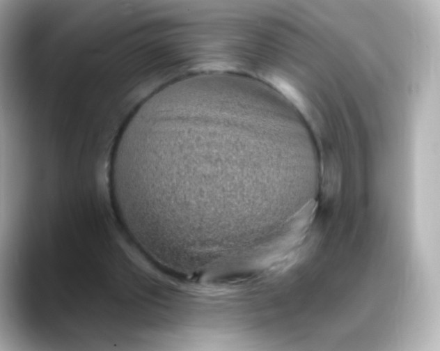 X0000088450389200706051310