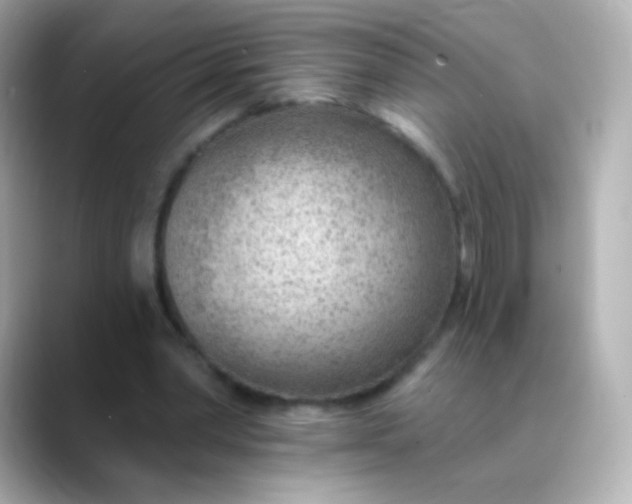 X0000088450390200706051310