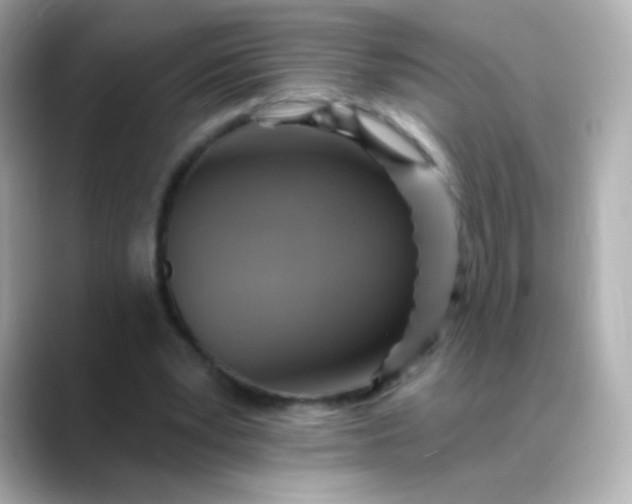X0000088450391200706051310
