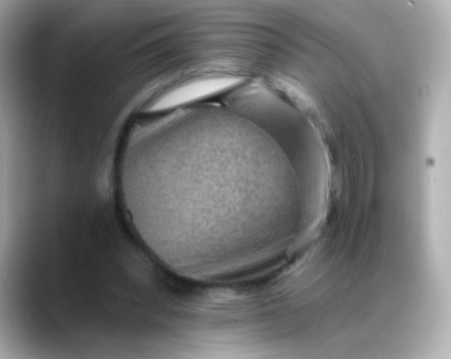 X0000088450392200706051310