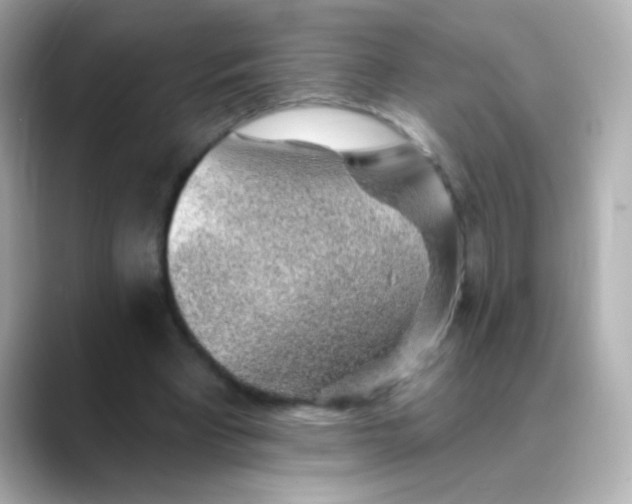 X0000088450393200706051310