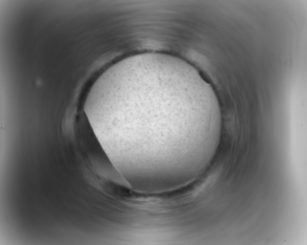 X0000088450395200706051310