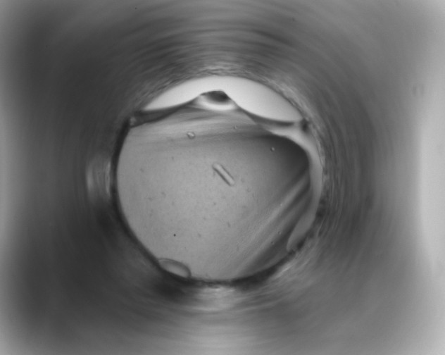 X0000088450397200706051310