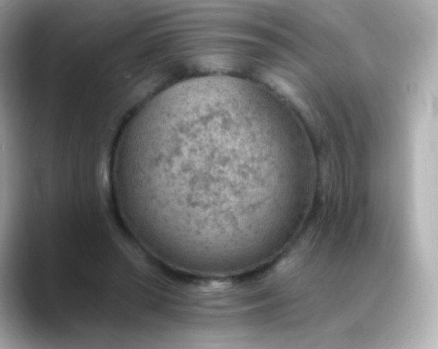 X0000088450398200706051310