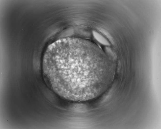 X0000088450399200706051310