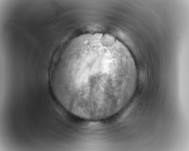 X0000088450401200706051310