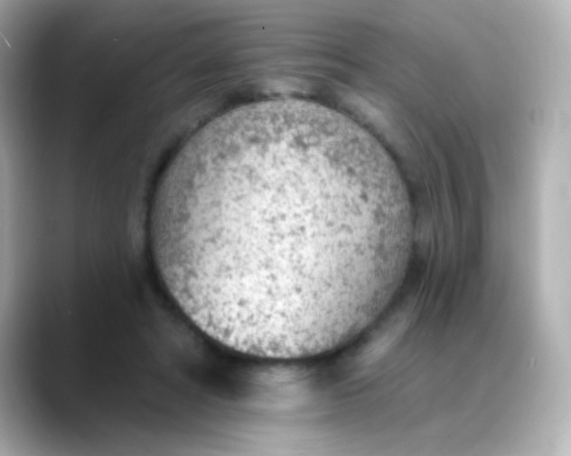 X0000088450402200706051310