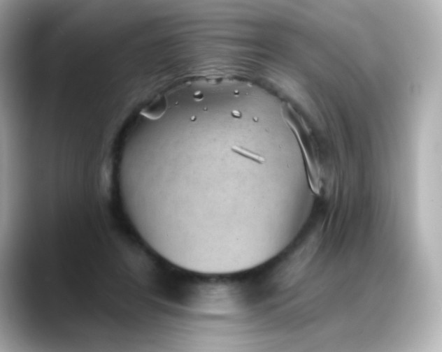 X0000088450404200706051310